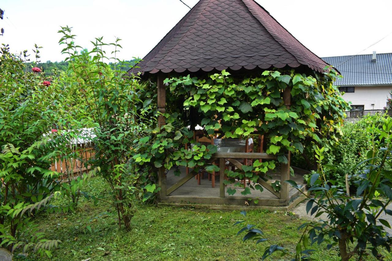 Hotel Casa Vladicu Breb Exterior foto
